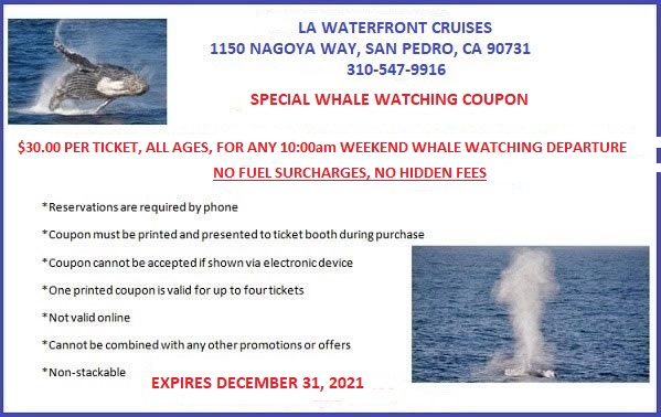 Whale Watching Coupon